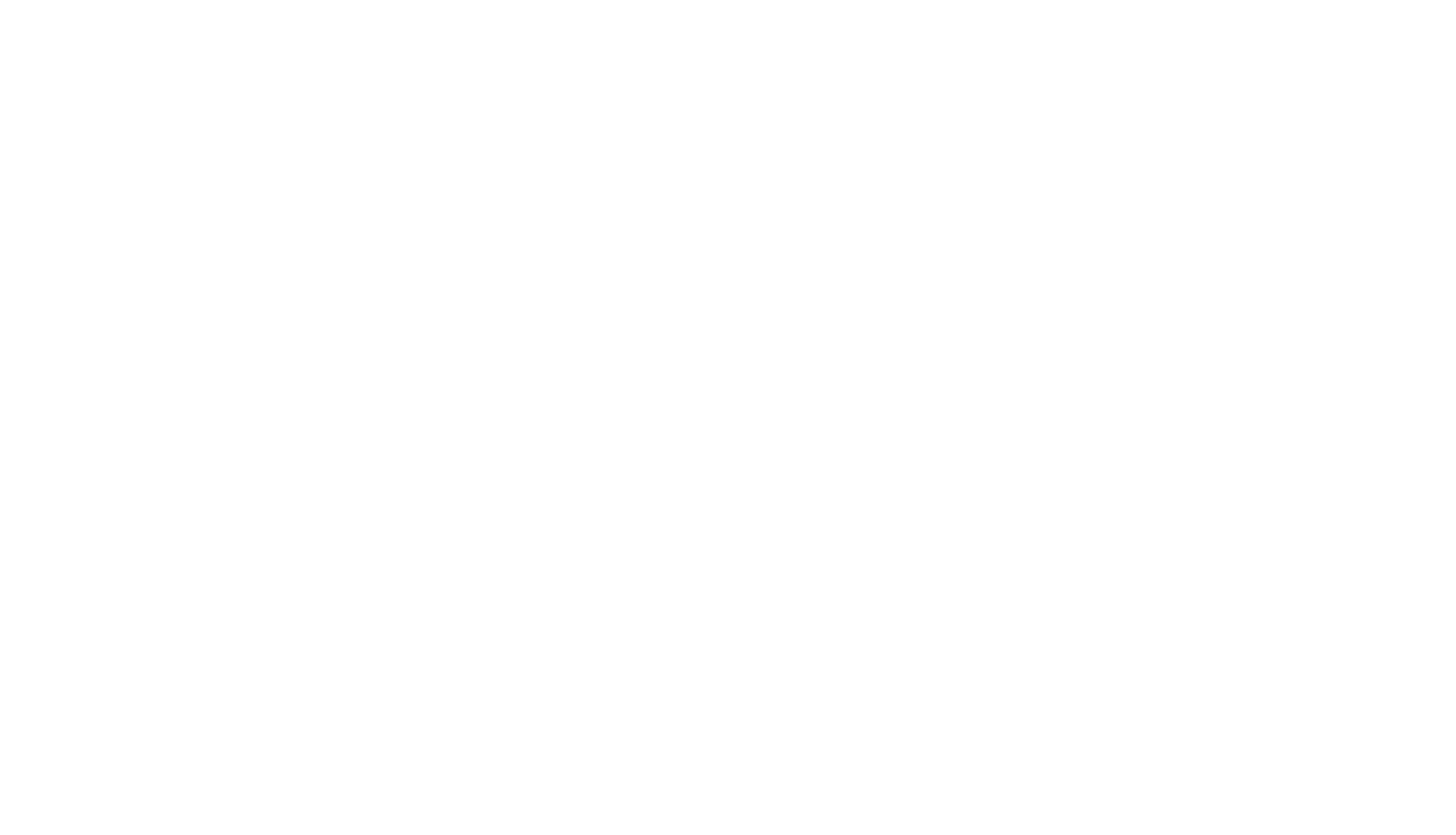 NM_LOGO